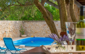 Holiday house with pool Sara